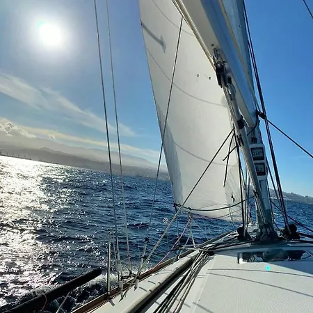 Orchidea Las Palmas de Gran Canaria