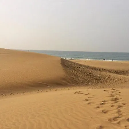 Orchidea Appartement