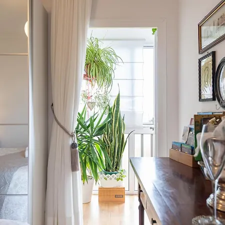 Orchidea Appartement Las Palmas