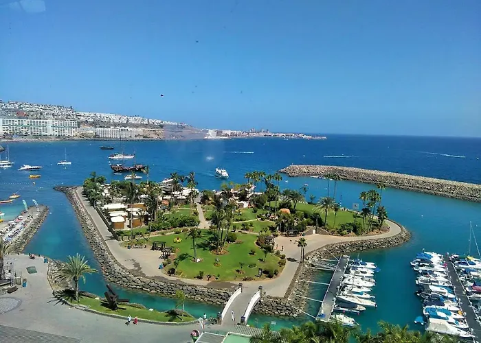 Orchidea Las Palmas de Gran Canaria