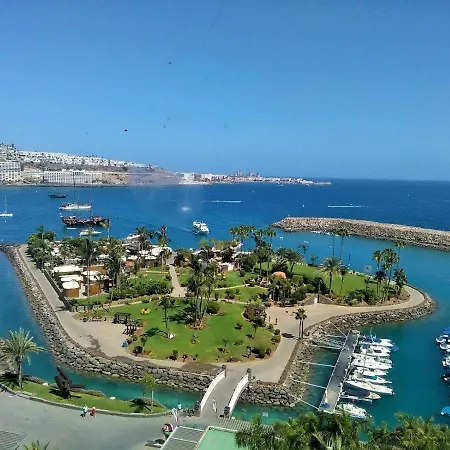 Orchidea Las Palmas de Gran Canaria