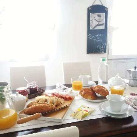 Orchidea Las Palmas de Gran Canaria