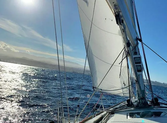 Orchidea Las Palmas de Gran Canaria